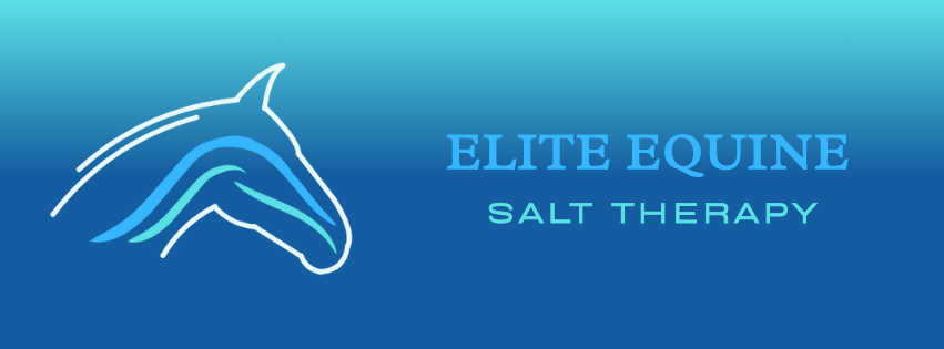 Elite Equine Salt Therapy